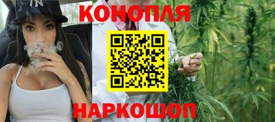 гашик Тула