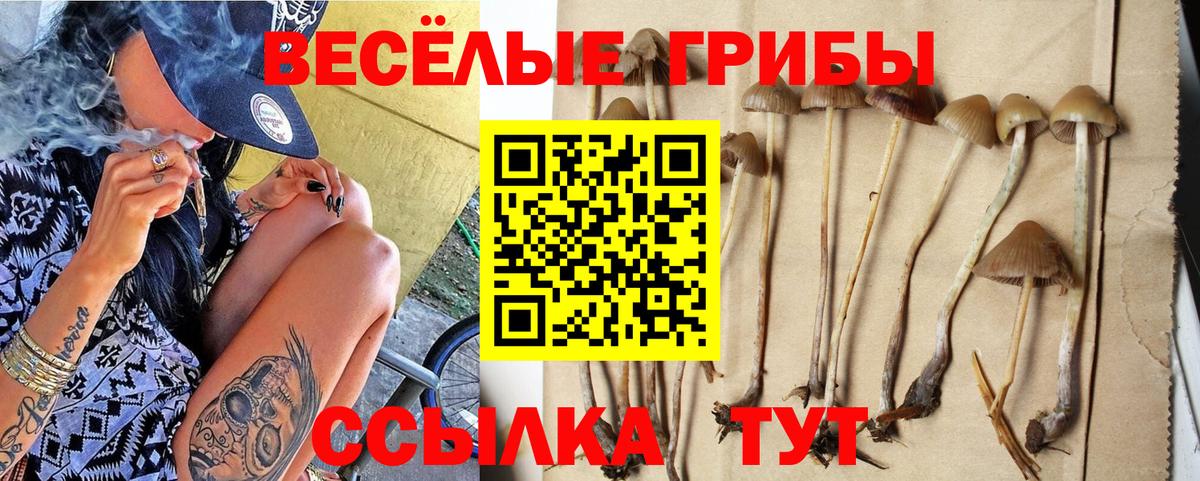 Галлюциногенные грибы Magic Shrooms Шелехов